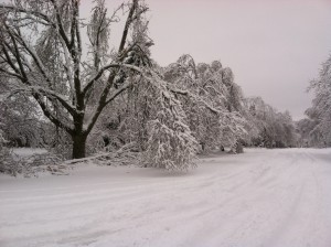 Storm Damage | Ice Storm