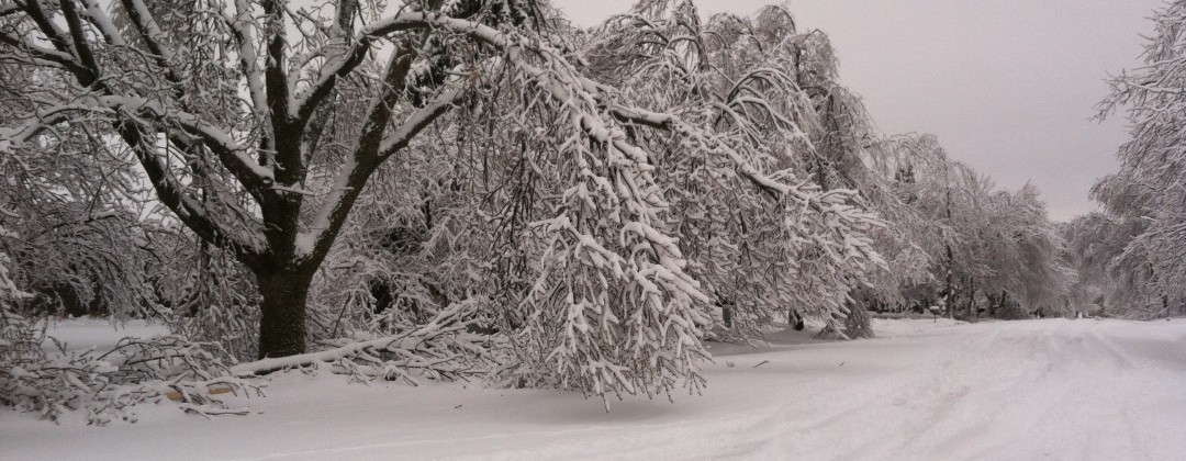 Storm Damage | Ice Storm