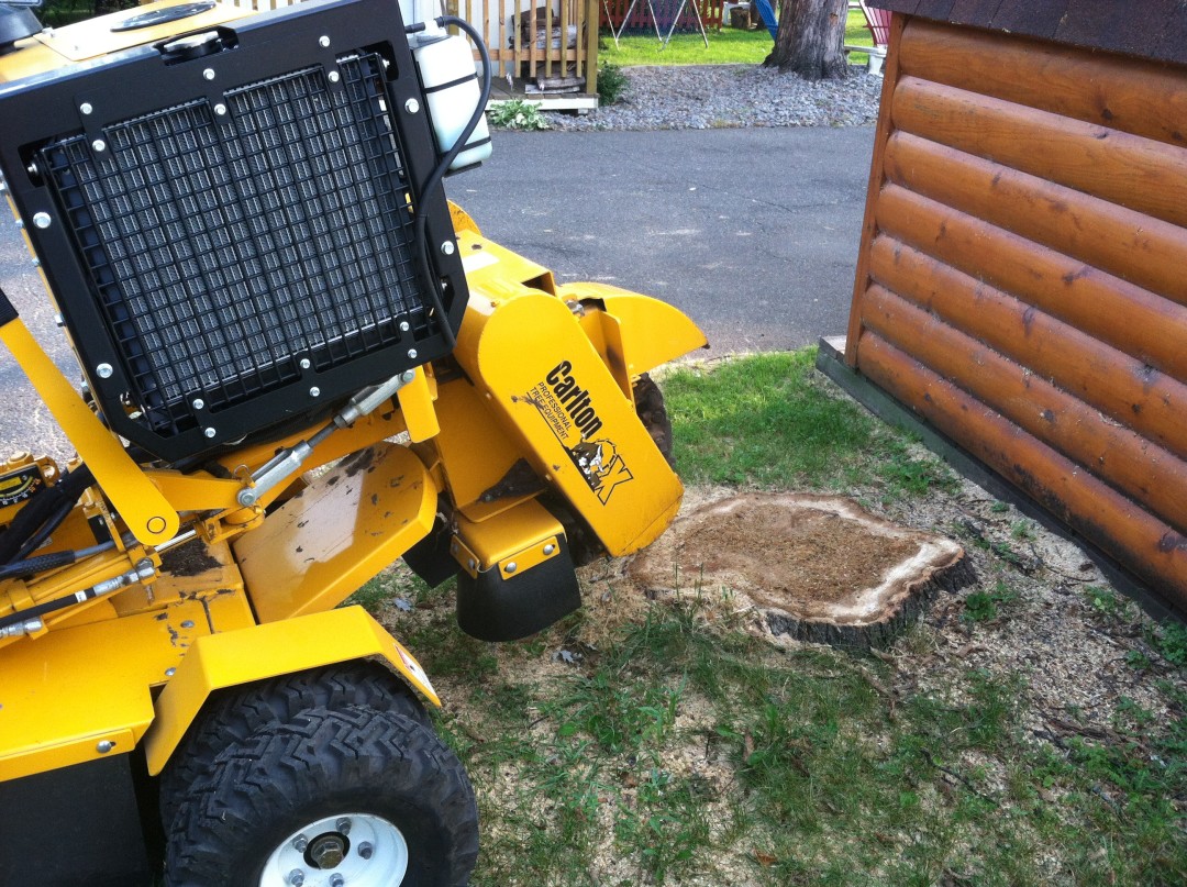 Stump Removal | Stump Grinding | Tree Service