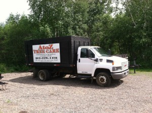 Minnesota Tree service | Tree Trimming | Tree Removal | Stump Removal
